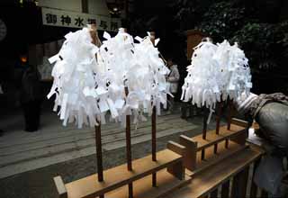 , , , , ,  .,-wheeled Shinto shrine cannabis,    , , , Shinto