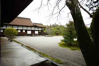 fotografia, material, livra, ajardine, imagine, proveja fotografia,Templo de Ninna-ji jarda dianteira do Hall para cerimnias estatais, jardim, Areia, A casa do aristocrata velho Palcio Imperial, paisagem seca jardim japons