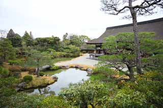 Foto, materieel, vrij, landschap, schilderstuk, bevoorraden foto,Ninna-ji Tempel noord tuin, Vijf Storeyed Pagoda, Ik ben Japanse-trant, Waterplas, Trant van Japanse tuin met een waterplas in het centrum tuin