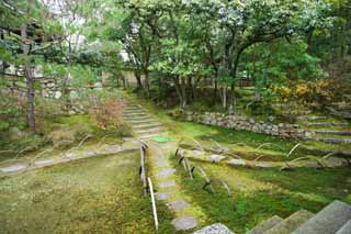 Foto, materieel, vrij, landschap, schilderstuk, bevoorraden foto,Ninna-ji Tempel geest Akira, Mos, Stenige trap, Het voetpad, Wandeling