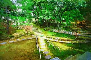 illustration,material,free,landscape,picture,painting,color pencil,crayon,drawing,Ninna-ji Temple soul Akira, Moss, stone stairway, The sidewalk, Walk