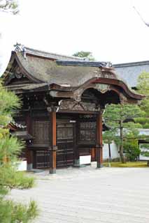 photo,material,free,landscape,picture,stock photo,Creative Commons,Ninna-ji Temple gate for Imperial messengers, Openwork, I am luxurious, wooden building, Tang grass