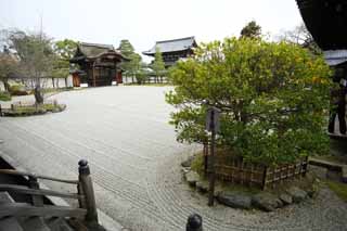 fotografia, material, livra, ajardine, imagine, proveja fotografia,Templo de Ninna-ji jarda dianteira do Hall para cerimnias estatais, jardim, Areia, porto para mensageiros Imperiais, paisagem seca jardim japons