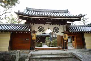 fotografia, material, livra, ajardine, imagine, proveja fotografia,A Casa de Myoshin-ji Templo alma nuvem, Egen Kanzan, fundo de floresta, O papa de jardim de flor, templo que pertence  seita de Zen