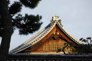 fotografia, materiale, libero il panorama, dipinga, fotografia di scorta,Tempio di Myoshin-ji l'eremitaggio di Tokai, Egen Kanzan, afforesti fondo, Il papa orto e floreale, tempio che appartiene alla setta Zen