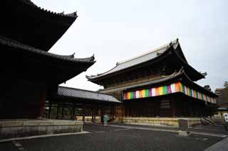 fotografia, material, livra, ajardine, imagine, proveja fotografia,Myoshin-ji Templo sermo corredor, Egen Kanzan, fundo de floresta, O papa de jardim de flor, templo que pertence  seita de Zen