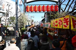 fotografia, material, livra, ajardine, imagine, proveja fotografia,A aproximao para Shibamata Taishaku-dez Templo, posto, feira, adorador, Takoyaki
