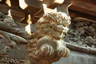 , , , , ,  .,Shibamata Taishaku-  , lion, ,  , 