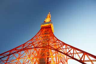 Foto, materieel, vrij, landschap, schilderstuk, bevoorraden foto,Tokio Toren, Collectie elektrisch golf toren, Rode en blanke, Een antenne, Een observatory