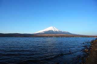 photo,material,free,landscape,picture,stock photo,Creative Commons,Mt. Fuji, Fujiyama, The snowy mountains, surface of a lake, blue sky