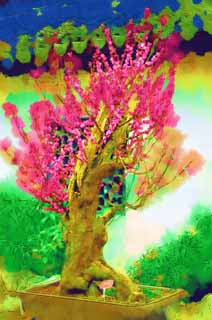 illustration,material,free,landscape,picture,painting,color pencil,crayon,drawing,The flower of the Yuyuan Garden plum, Joss house garden, , way of branch, bonsai