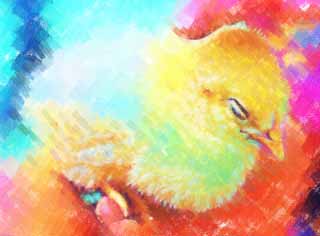 illustration,material,free,landscape,picture,painting,color pencil,crayon,drawing,I pat it, chick, cock, , I am young