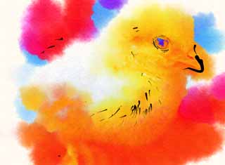 illustration,material,free,landscape,picture,painting,color pencil,crayon,drawing,A chick, chick, cock, , I am young
