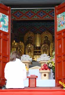 Foto, materieel, vrij, landschap, schilderstuk, bevoorraden foto,Ikegami voorkant poort tempel Five Storeyed Pagoda, Boeddhist afbeelding, Chaitya, Beroemdheid naar de Sutra van de Lotus van de Supreme Law, Trouw