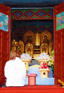 illust, , , , , ,  ,  , .,Ikegami     Storeyed Pagoda,  , Chaitya,   Sutra Lotus  , 