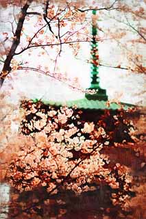 illust, matire, libre, paysage, image, le tableau, crayon de la couleur, colorie, en tirant,Ikegami sont devant le temple de porte Cinq Pagode Storeyed, Takashi Nichiren, Chaitya, Cinq pagode Storeyed, Hidetada public