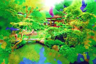 Illust, materieel, vrij, landschap, schilderstuk, schilderstuk, kleuren potlood, crayon, werkje,Taima tempel Nakano Bo, Japanse tuin, Waterplas, Rots, Wijdvermaarde tuin