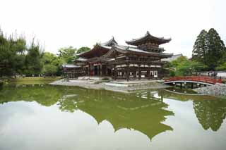 photo,material,free,landscape,picture,stock photo,Creative Commons,Byodo-in Temple Chinese phoenix temple, world heritage, Jodo faith, Pessimism due to the belief in the third and last stage of Buddhism, An Amitabha sedentary image