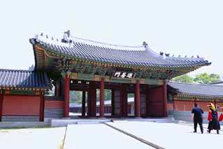 fotografia, materiale, libero il panorama, dipinga, fotografia di scorta,Jinseonmun controlla, palazzo, cancello, , 