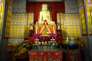fotografia, material, livra, ajardine, imagine, proveja fotografia,Templo de Yasushi esttico imagem budista, Budismo, Orao, Faith, Imagem budista