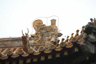 foto,tela,gratis,paisaje,fotografa,idea,Un azulejo de Yonghe Temple, Tibet, Un animal, Dragn, Chaitya