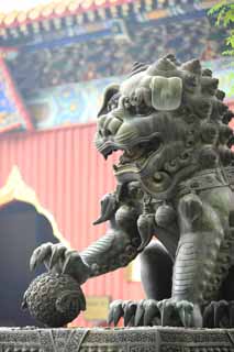 fotografia, materiale, libero il panorama, dipinga, fotografia di scorta,Un leone di Tempio di Yonghe, paio di pietra cani custode, leone, , zanna