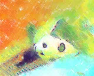 illustration,material,free,landscape,picture,painting,color pencil,crayon,drawing,Giant panda, panda, , I am pretty, nap