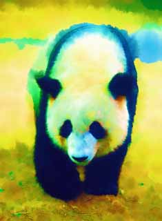 illust, materiale, libero panorama, ritratto dipinto, matita di colore disegna a pastello, disegnando,Panda gigante, panda, , Io sono bello, passeggiata