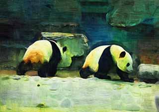 illust,tela,gratis,paisaje,fotografa,idea,pintura,Lpiz de color,dibujo,Oso panda gigante, Oso panda, , Soy bonito, Camine