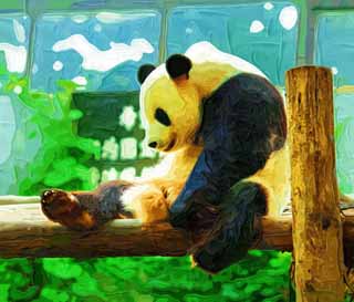 illust, material, livram, paisagem, quadro, pintura, lpis de cor, creiom, puxando,Panda gigantesco, panda, , Eu estou bonito, gesto