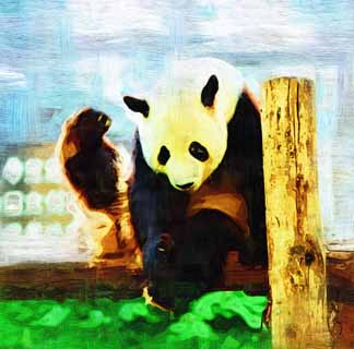 illust, materiale, libero panorama, ritratto dipinto, matita di colore disegna a pastello, disegnando,Panda gigante, panda, , Io sono bello, gesto