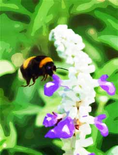 illustration,material,free,landscape,picture,painting,color pencil,crayon,drawing,Bumblebee, bee, , , Fantasy