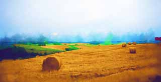 illust, materiale, libero panorama, ritratto dipinto, matita di colore disegna a pastello, disegnando,Un scenario rurale di Biei, campo, rotolo di erba, Il paese, scenario rurale