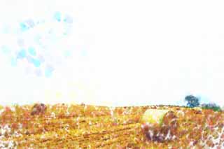 illust, materiale, libero panorama, ritratto dipinto, matita di colore disegna a pastello, disegnando,Un rotolo di erba, campo, rotolo di erba, Il paese, scenario rurale