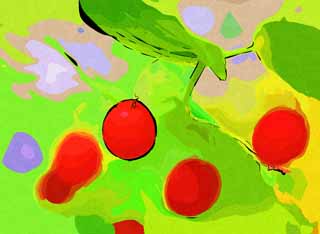 illust, matire, libre, paysage, image, le tableau, crayon de la couleur, colorie, en tirant,Un fruit rouge, Fruit, fruit rond, Herbe sauvage, fort