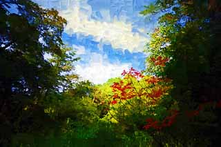 illustration,material,free,landscape,picture,painting,color pencil,crayon,drawing,Lacquered colored leaves, forest, Sunlight, lacquer tree, Mt. Bandai-san
