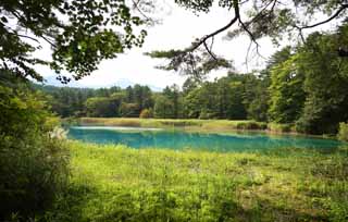 fotografia, materiale, libero il panorama, dipinga, fotografia di scorta,Aonuma, foresta, stagno, Blu azzurro, Mt. Bandai-san