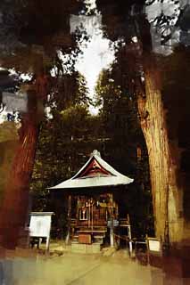 illust,tela,gratis,paisaje,fotografa,idea,pintura,Lpiz de color,dibujo,Santuario de Hill Itsukushima - jinja de Iimori - yama, Mezcla de Buddhism y el Shintoismo, Excelente el Sr. caramillo, Aizu, Masakata Matsudaira