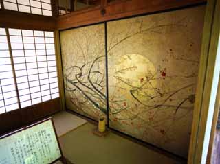 fotografia, material, livra, ajardine, imagine, proveja fotografia,Kairaku-en Garden pavilho de Yoshifumi, fusuma imaginam, Folha de ouro, quadro, 