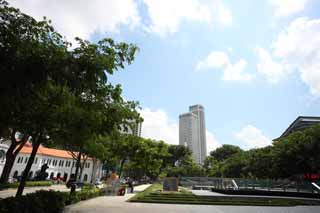 fotografia, materiale, libero il panorama, dipinga, fotografia di scorta,Singapore, SMU, edificio a molti piani, albero della strada, La zona tropicale