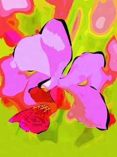 illust, materiale, libero panorama, ritratto dipinto, matita di colore disegna a pastello, disegnando,Un'orchidea colore rosa, Un'orchidea, , petalo, Io sono sfarzoso