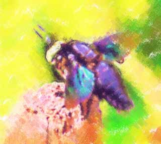 illust, materiale, libero panorama, ritratto dipinto, matita di colore disegna a pastello, disegnando,Una mosca enorme, mosca, , , La zona tropicale