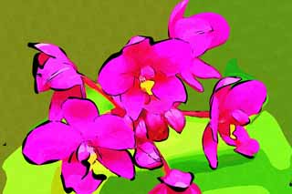 Illust, materieel, vrij, landschap, schilderstuk, schilderstuk, kleuren potlood, crayon, werkje,Een purpere orchidee, Een orchidee, , , Ik ben luxueus