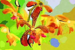illust, materiell, befreit, Landschaft, Bild, Gemlde, Farbbleistift, Wachsmalstift, Zeichnung,,Eine orangefarbene Orchidee, Eine Orchidee, , , Ich bin luxuris