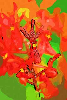 illust, materiell, befreit, Landschaft, Bild, Gemlde, Farbbleistift, Wachsmalstift, Zeichnung,,Eine rote Orchidee, Eine Orchidee, , , Ich bin luxuris