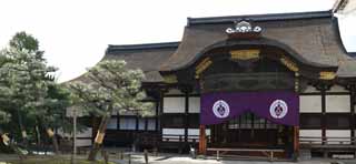 photo,material,free,landscape,picture,stock photo,Creative Commons,West Honganji two mighty rivals, Honganji, Chaitya, Shinran, wooden building