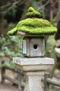 photo,material,free,landscape,picture,stock photo,Creative Commons,Ishigami major shrine stone lantern, I was mossed, Moss, stone lantern, stone garden lantern