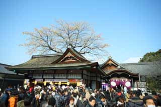 fotografia, materiale, libero il panorama, dipinga, fotografia di scorta,Fushimi-Inari Taisha il sacrario, conto, L'anno Nuovo sta esorcizzando freccia, mezzo, volpe