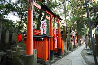 photo,material,free,landscape,picture,stock photo,Creative Commons,Fushimi-Inari Taisha Shrine torii, New Year's visit to a Shinto shrine, torii, Inari, fox