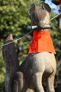 fotografia, materiale, libero il panorama, dipinga, fotografia di scorta,Fushimi-Inari Taisha immagine di volpe di Sacrario, Drappeggio rotolato, torii, Inari, volpe